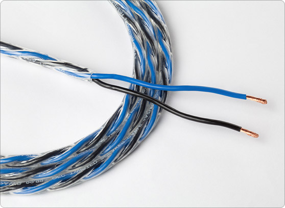 Taga Harmony AZURE-12-2C - cecha 3